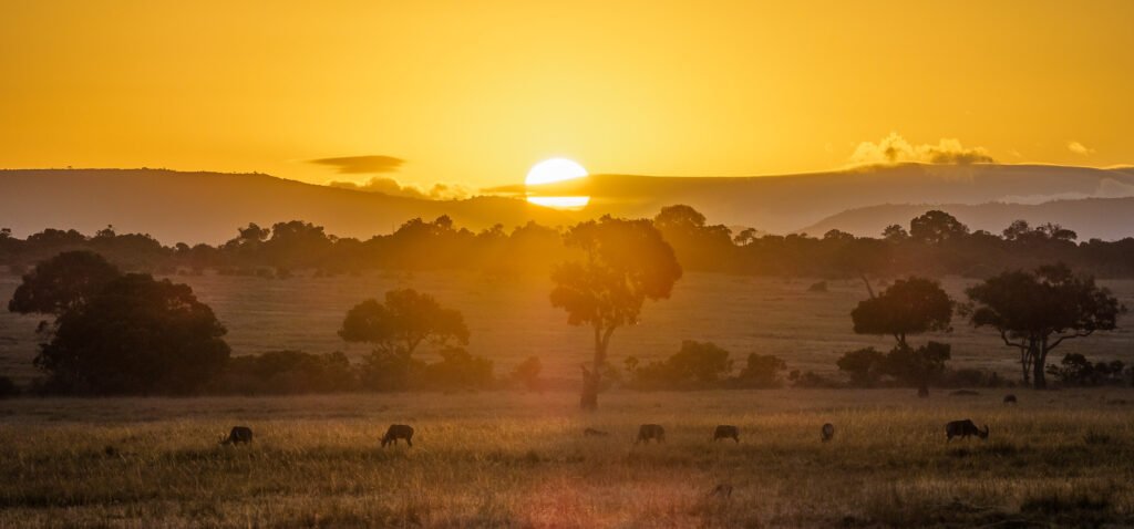 sunset-at-masai-mara